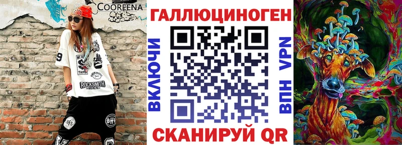 Купить где  Дмитриев  Галлюциногенные грибы GOLDEN TEACHER 