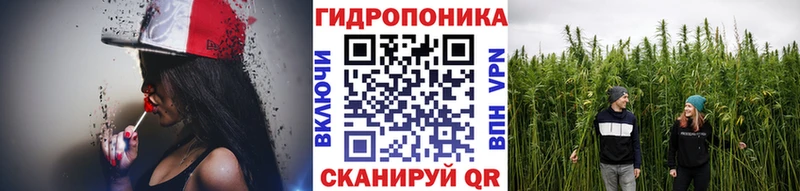 Купить  Дмитриев  Бошки Шишки MAZAR 
